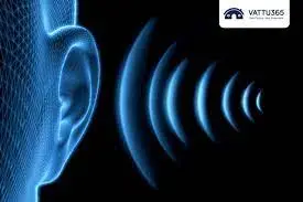 Measuring noise levels on newly built ships operating on international routes according to  IMO MSC.337(91)